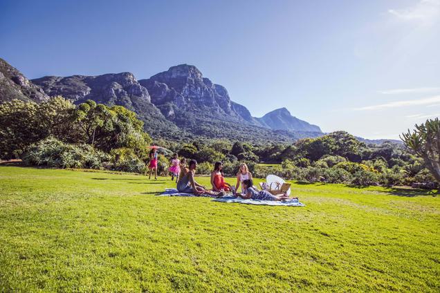 Picnic in Kirstenbosch Gardens Cape Town