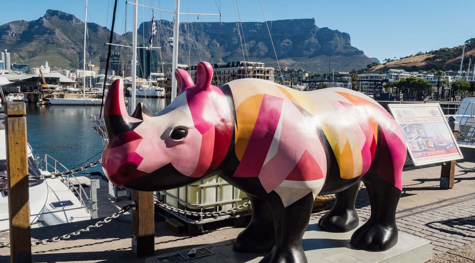 Rhino Art V A Waterfront Cape Town South Africa
