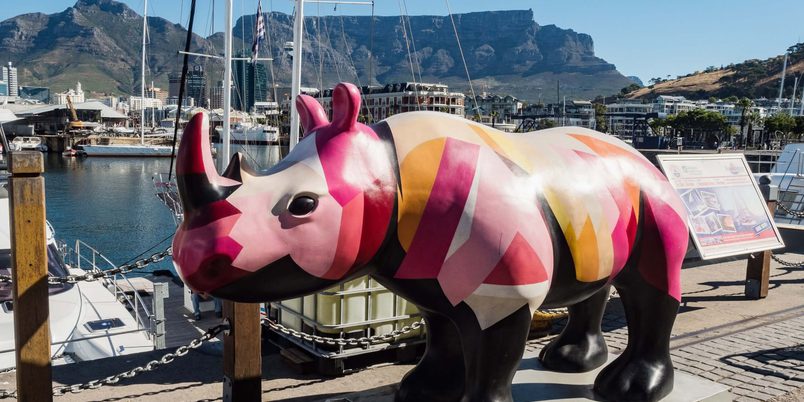 Rhino Art V A Waterfront Cape Town South Africa