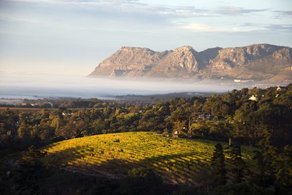 Cape Winelands with mist over Vineyards
