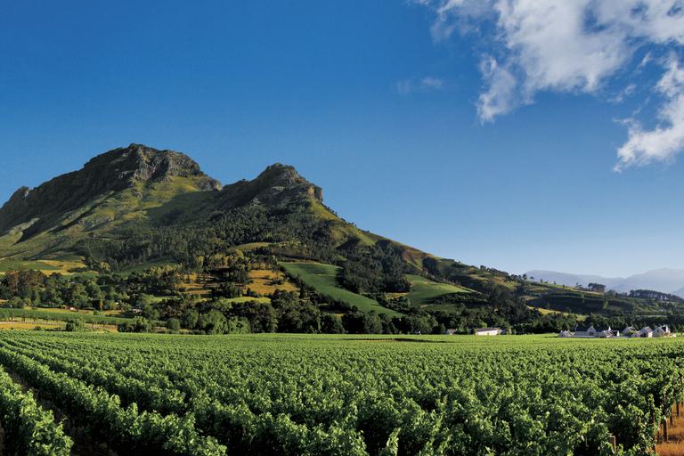 Winelands Valley View SAT