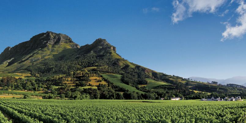 Winelands Valley View SAT