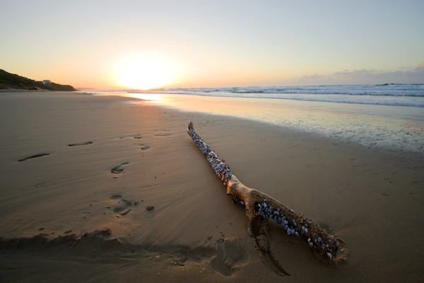 Sunrise on the beach in Wilderness SAT