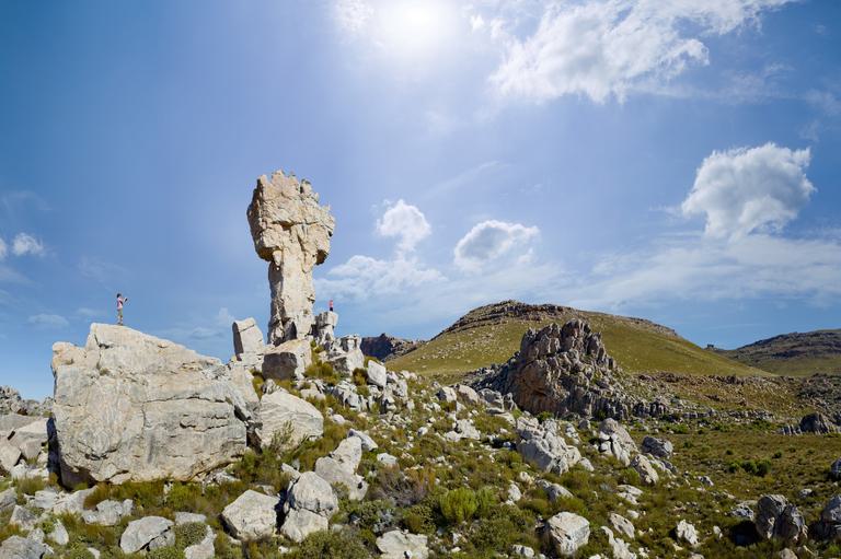 Maltese Rock Cederberg SAT