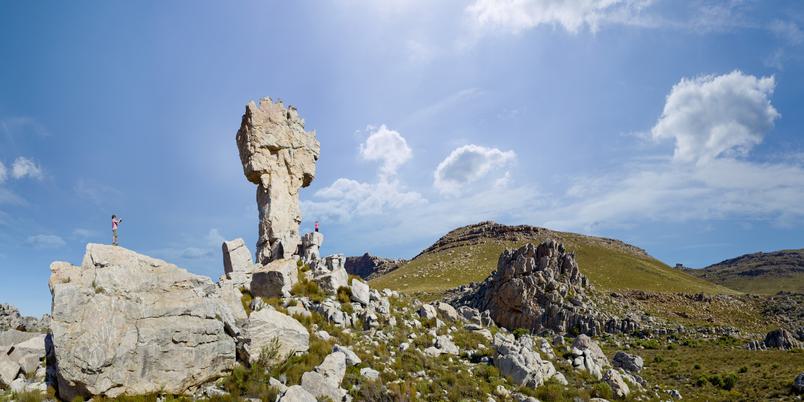 Maltese Rock Cederberg SAT