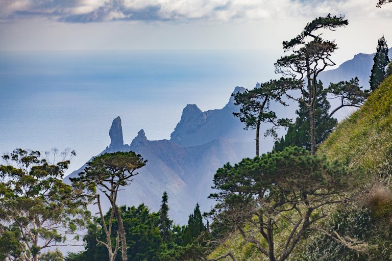 St Helena Peaks Landscape SS