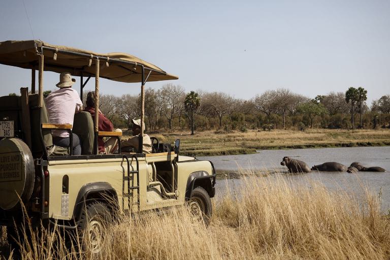 Chada Katavi Game Drive