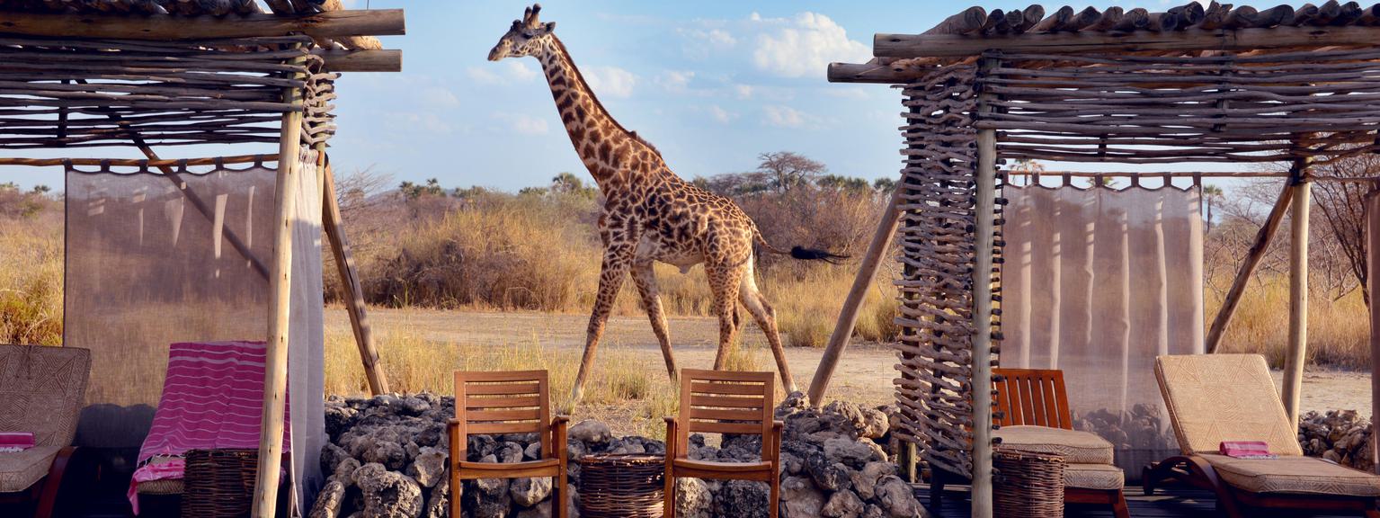 Chem Chem Lodge Pool