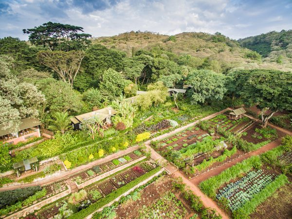 Gibbs Farm Aerial View