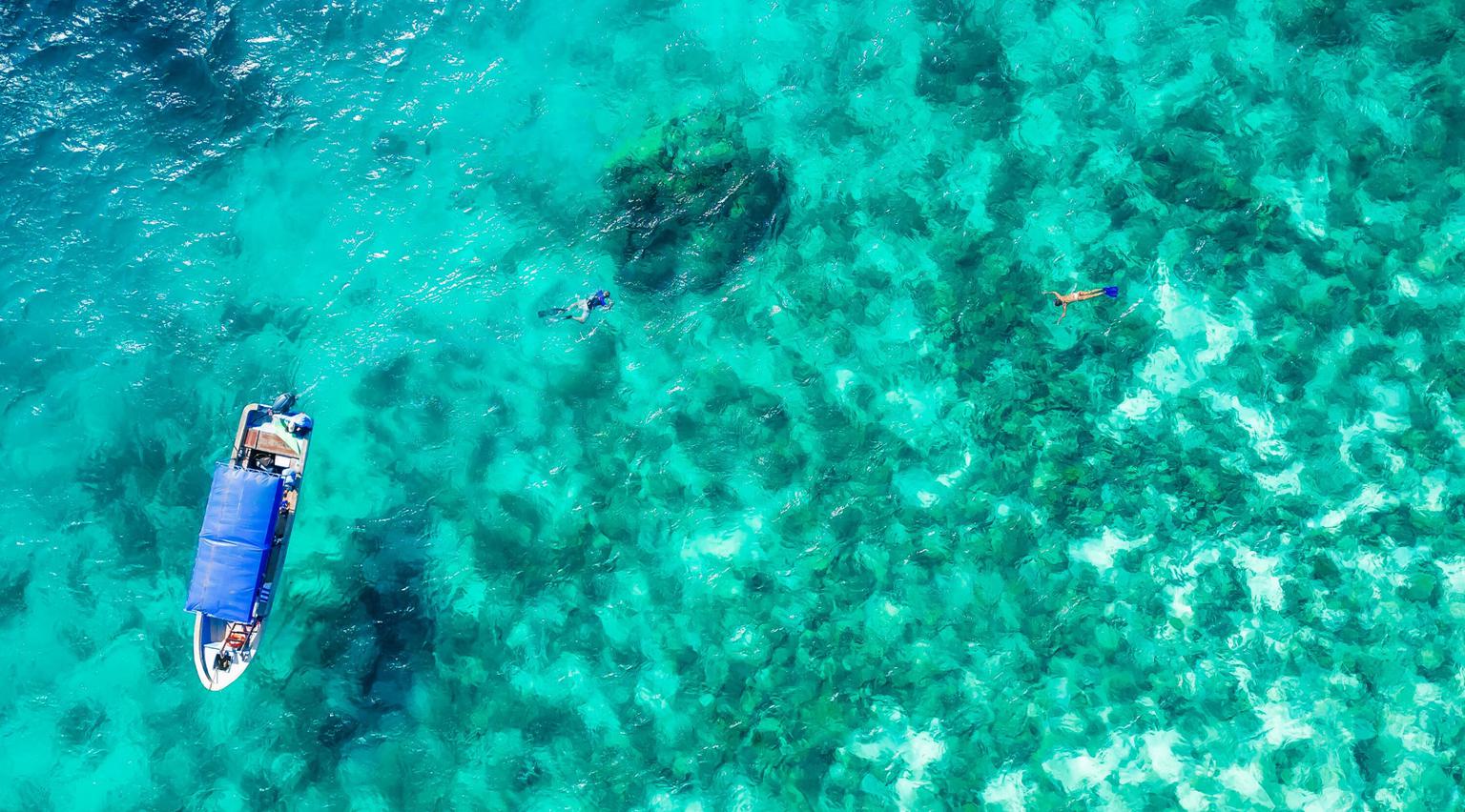 Snorkelling Manta Resort