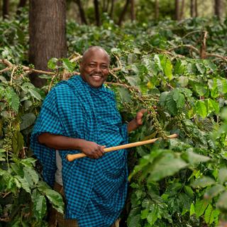 Ngorongoro Farmhouse Guided Walks