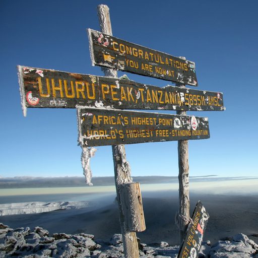 Kilimanjaro Peak SS crop
