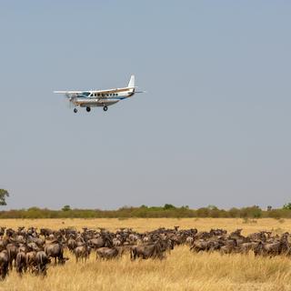 Light Aircraft flying over Serengeti SS