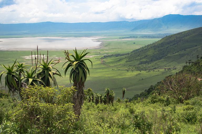 Ngorongoro crater Landscape SS