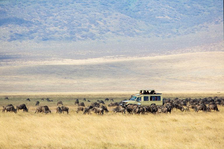 Ngorongoro crater game drive vehicle SS