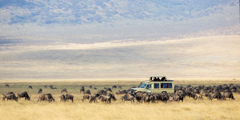 Ngorongoro crater game drive vehicle SS