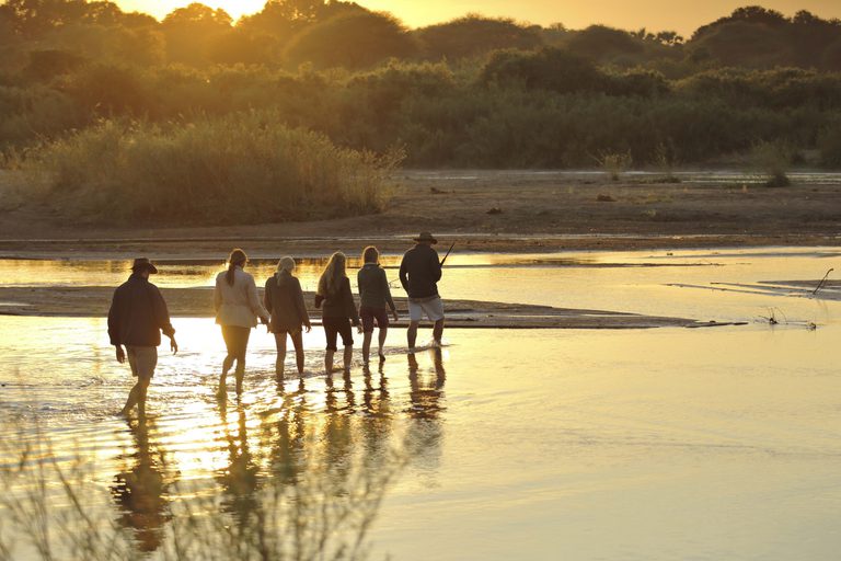 Kichaka walking safari Ruaha