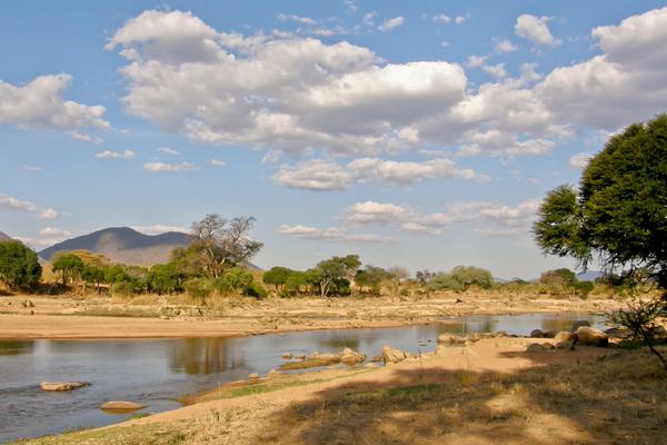 Ruaha River Landscape SS