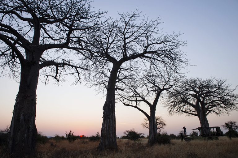Sunset over ruaha