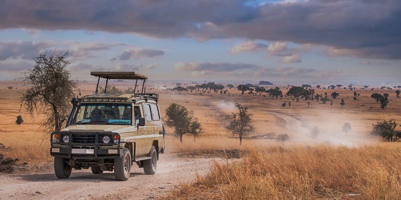 Game Drive Vehicle in Serengeti SS