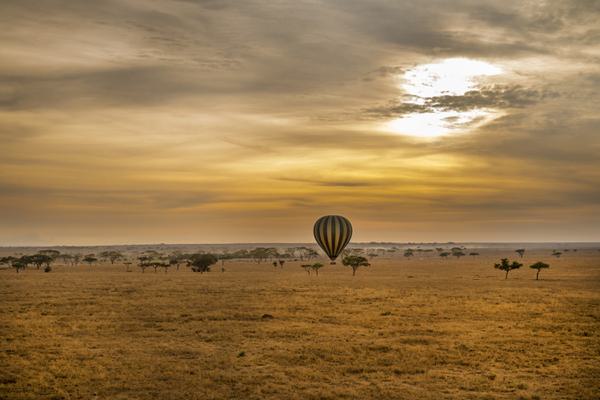 Hot air balloon over Serengeti Plains