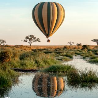 Serengeti balloon safari reflection in pond portrait