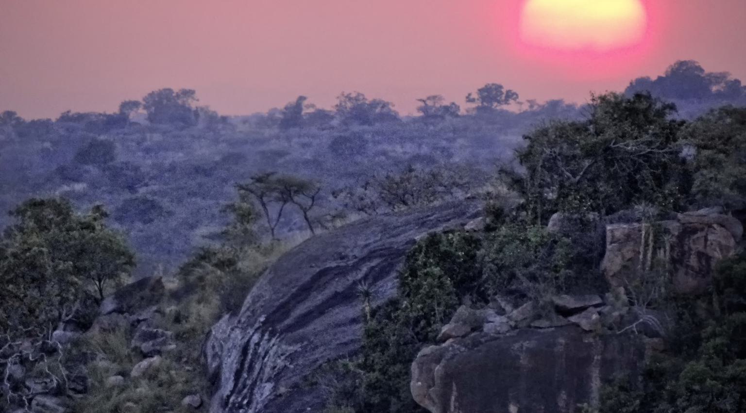 Tarangire landscape sunrise set