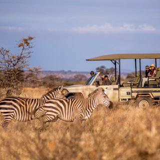 Nimali tarangire game drive with giraffe