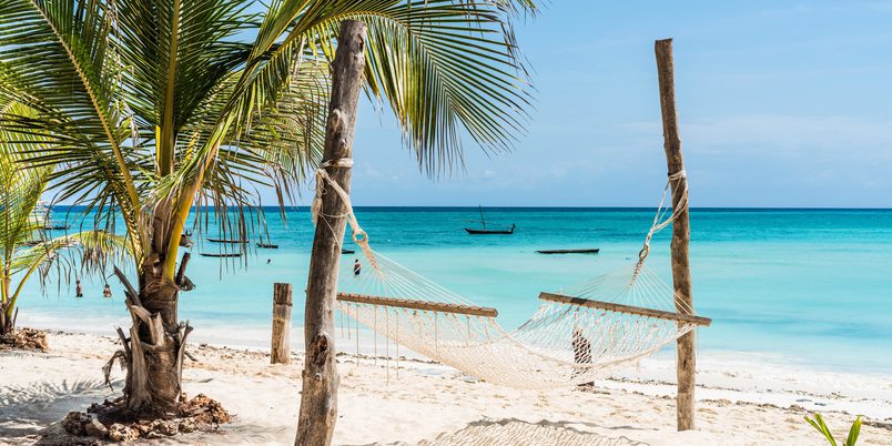 Tanzania Beach Hammock SS landscape