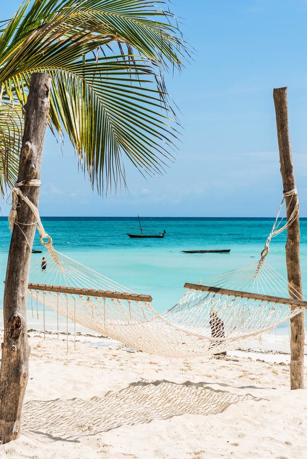 Zanzibar Beach Hammock SS PORTRAIT