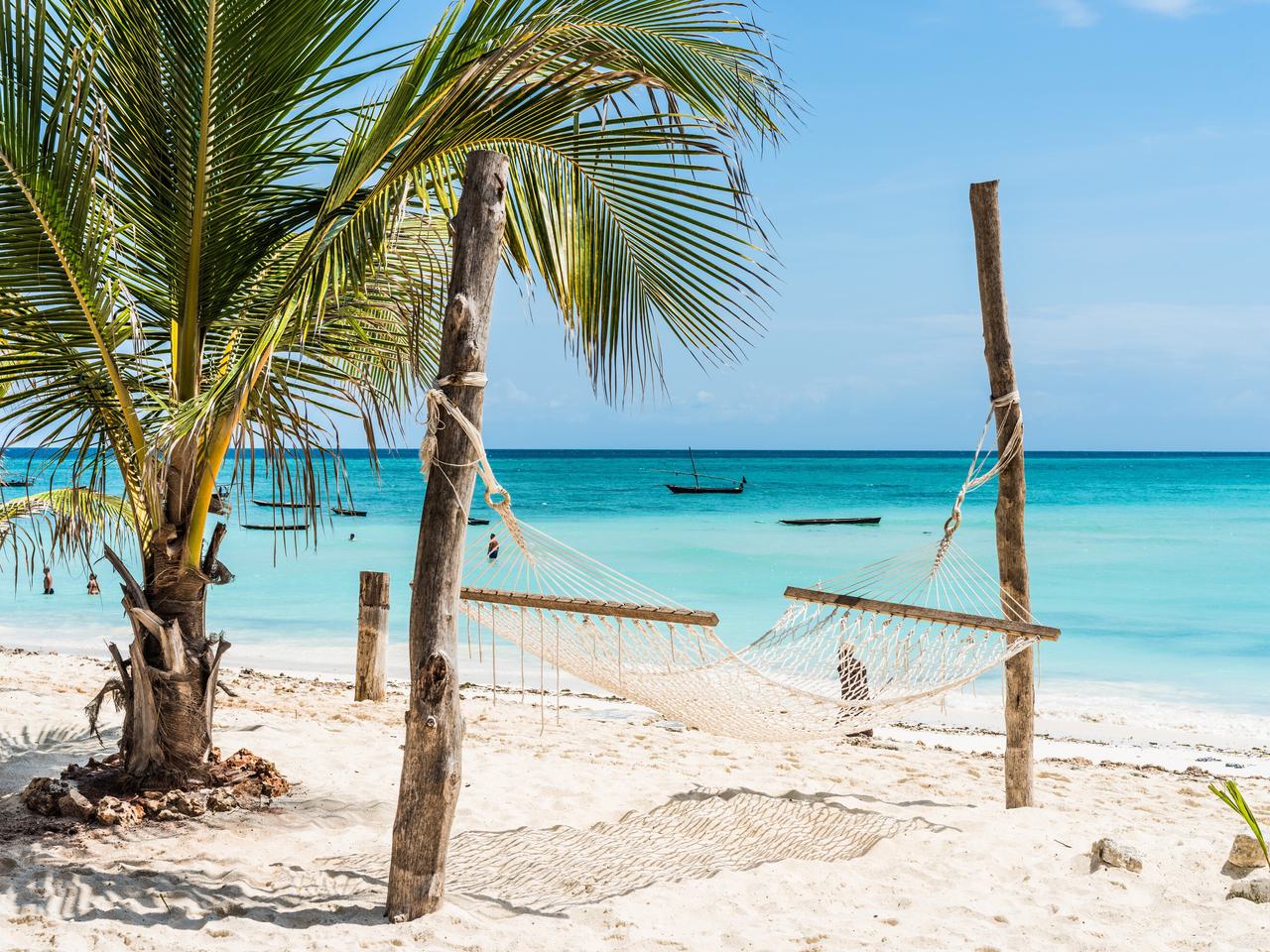 Zanzibar Beach hammock palm trees SS