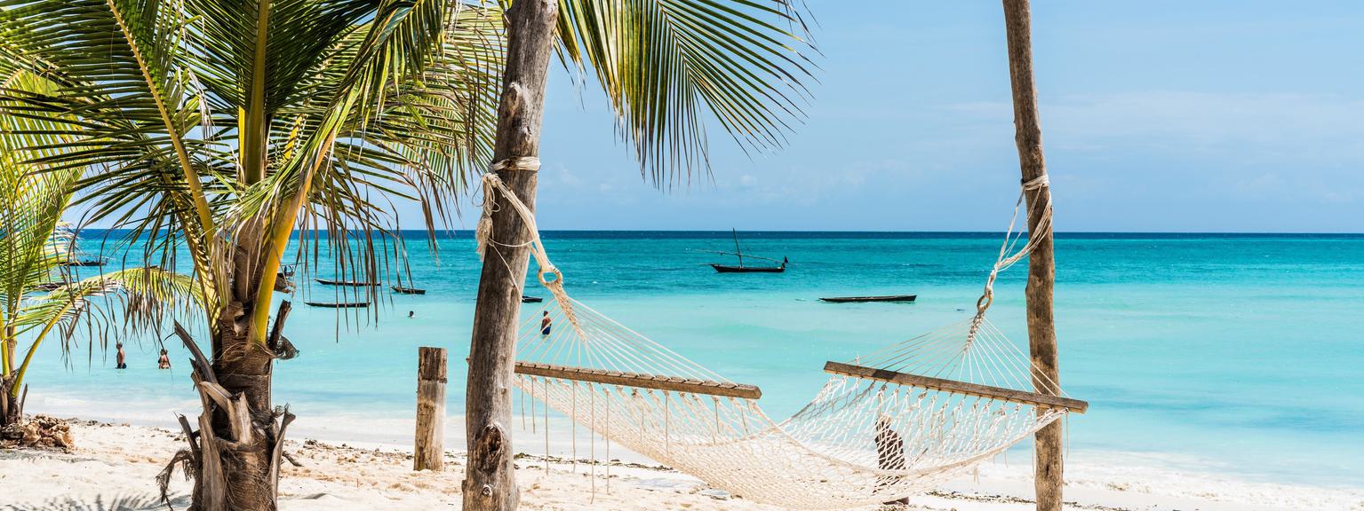 Zanzibar Beach hammock palm trees SS
