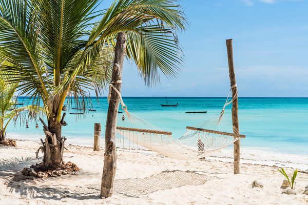 Zanzibar Beach hammock palm trees SS