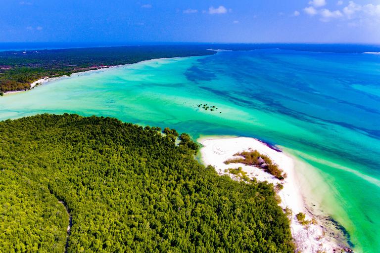 Zanzibar mangrove forest Aerial view SS