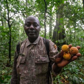 Primate Lodge guide SQUARE