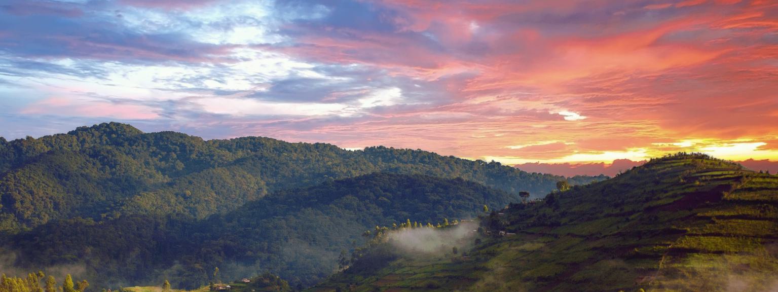 Bwindi Impenetrable Forest sunset SS