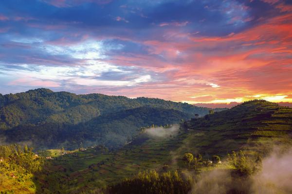 Bwindi Impenetrable Forest sunset SS