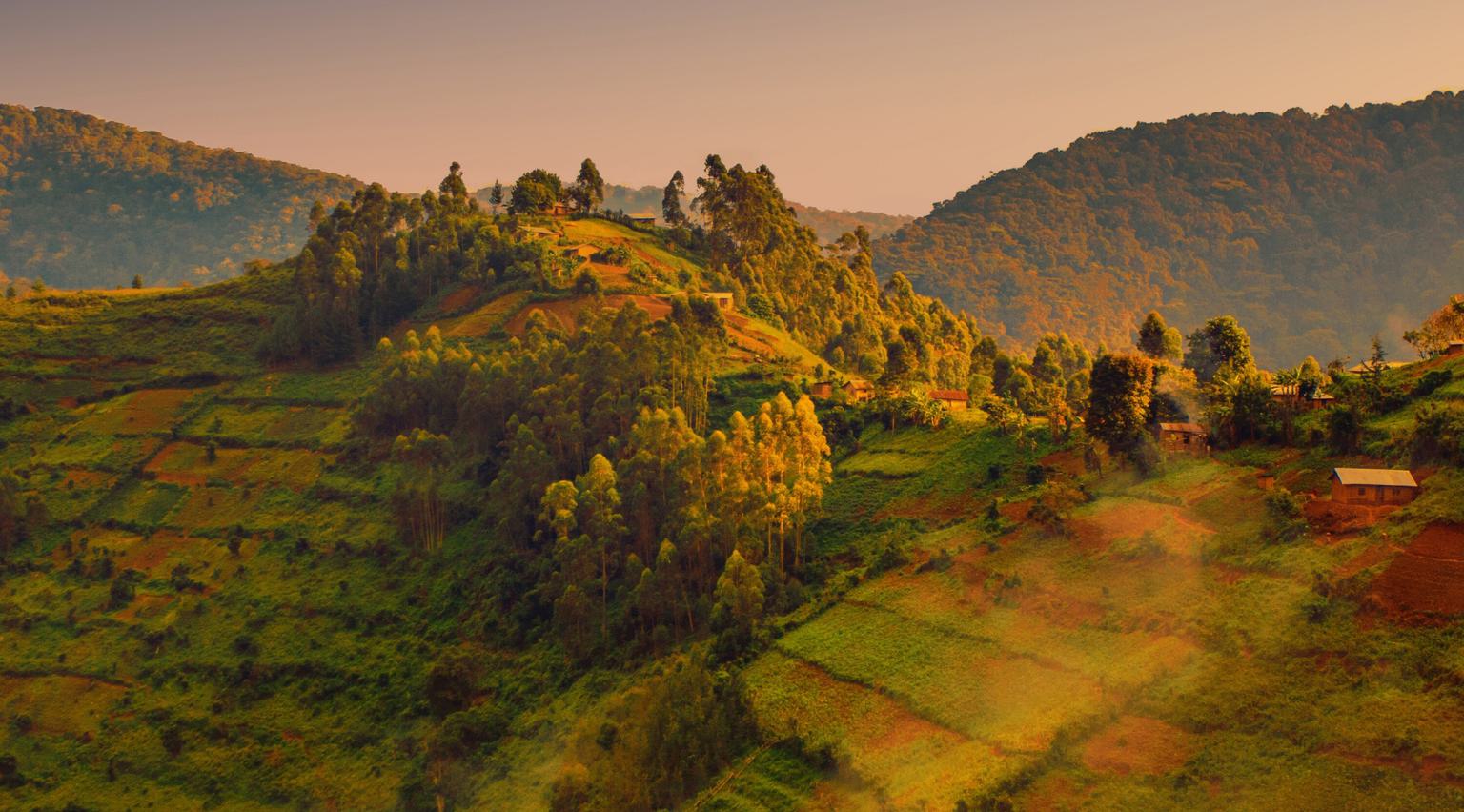 Bwindi Landscape evening sunlight SS