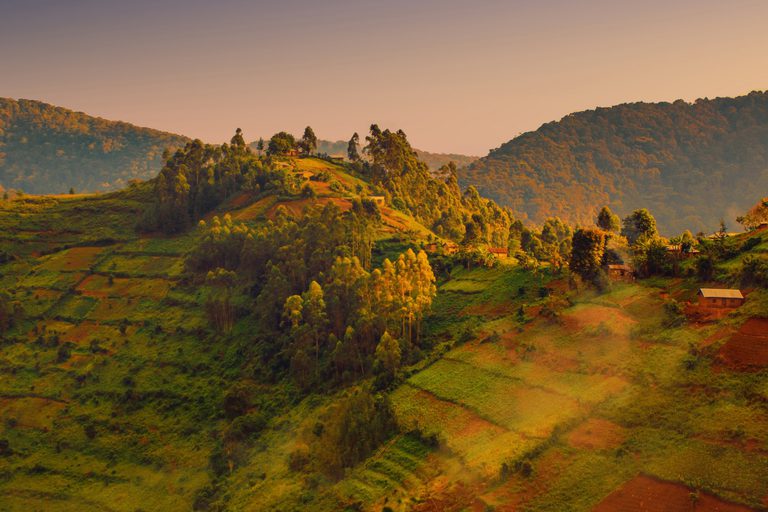 Bwindi Landscape evening sunlight SS