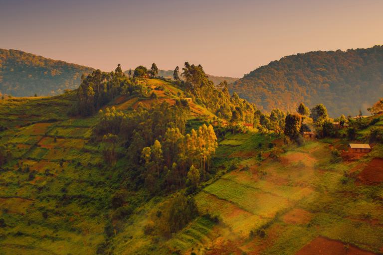 Bwindi Landscape evening sunlight SS