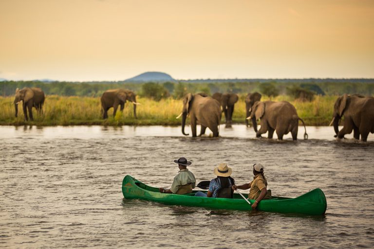 Anabezi Camp canoeing with elephants