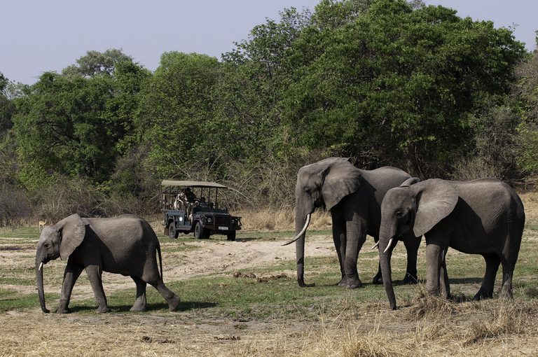 Chamilandu Bush Camp Game Drive