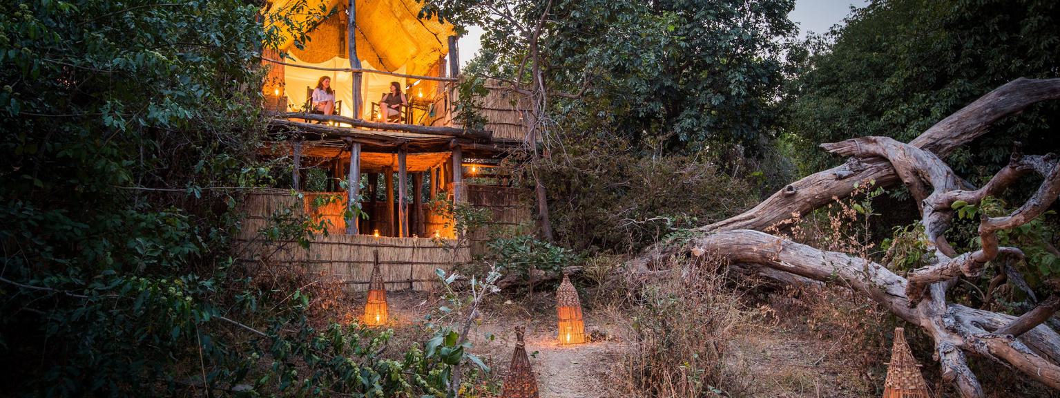 Chikoko Tree Camp Treehouse Exterior by Night