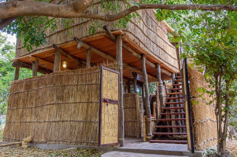 Chikoko Tree Camp room exterior