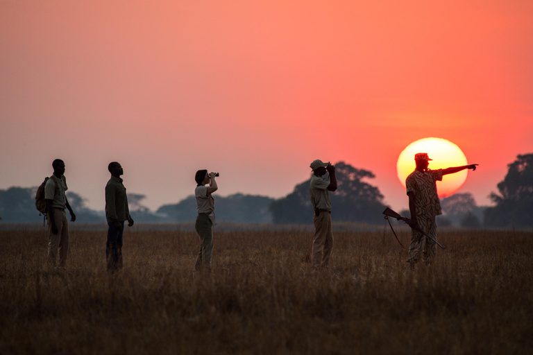 Chisa Busanga walking safari sunset
