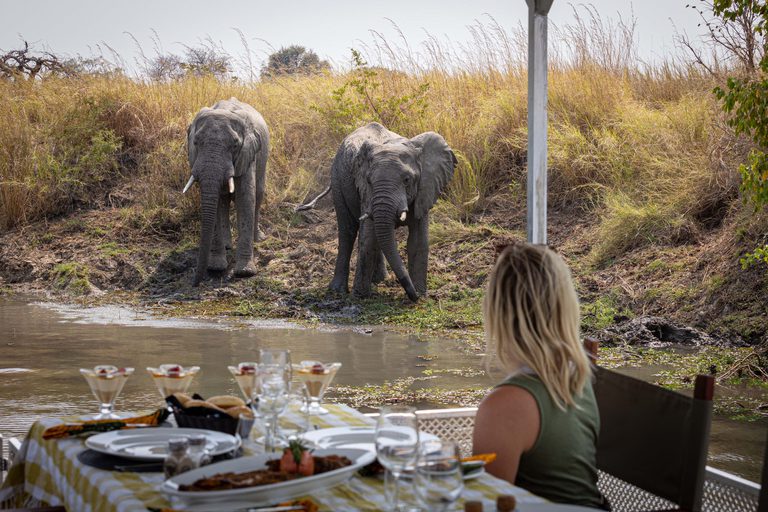 Ila Safari Lodge Boat cruise lunch with elephants
