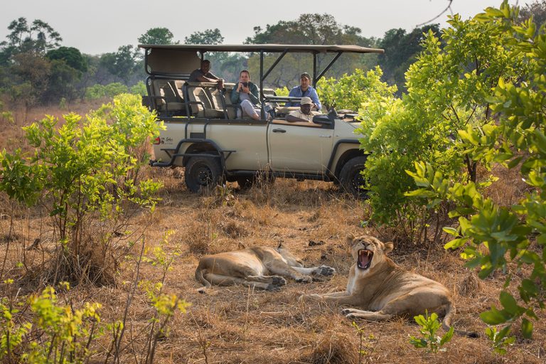 Ila Safari Lodge game drive lions