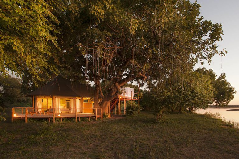 Kafunta Three Rivers tent in trees
