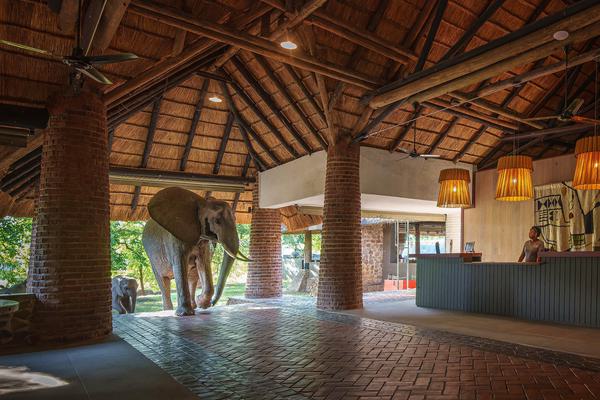 Mfuwe Lodge elephant in reception