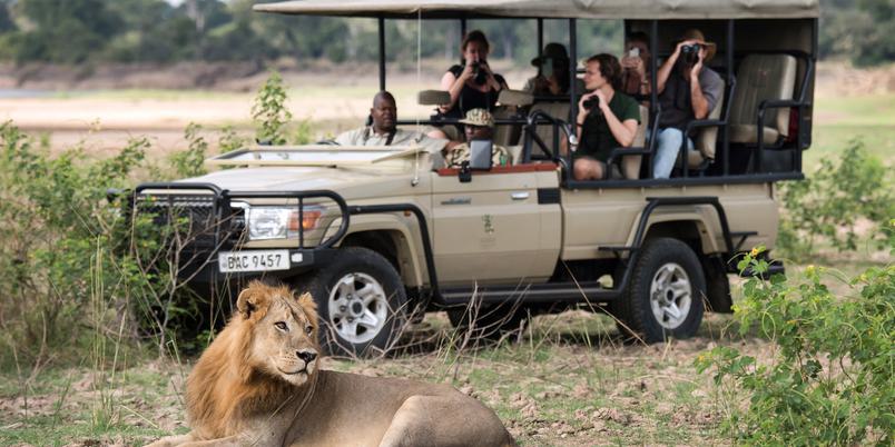 Shawa Luangwa game drive